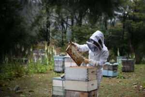 beekeeper